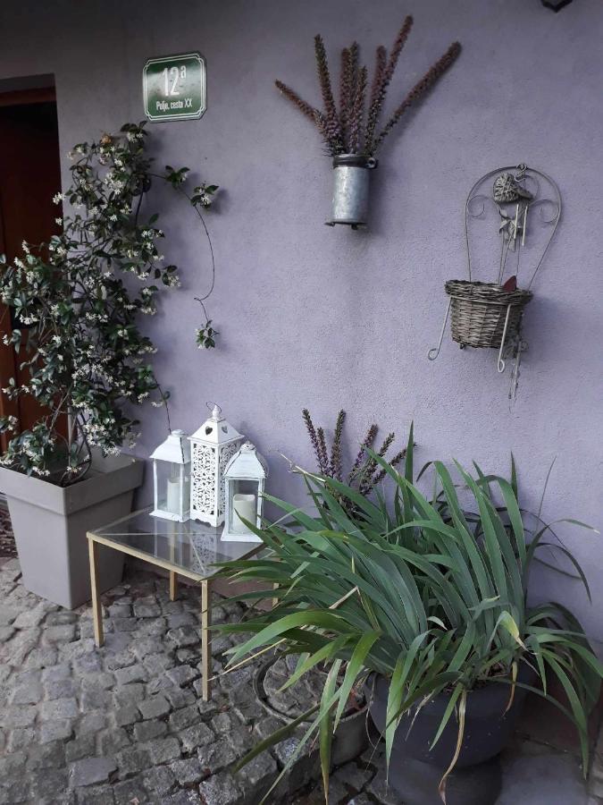 Camping Under The Walnut In Your Own Tent On A Shared Lot And Shared Bathroom Ljubljana Exterior photo