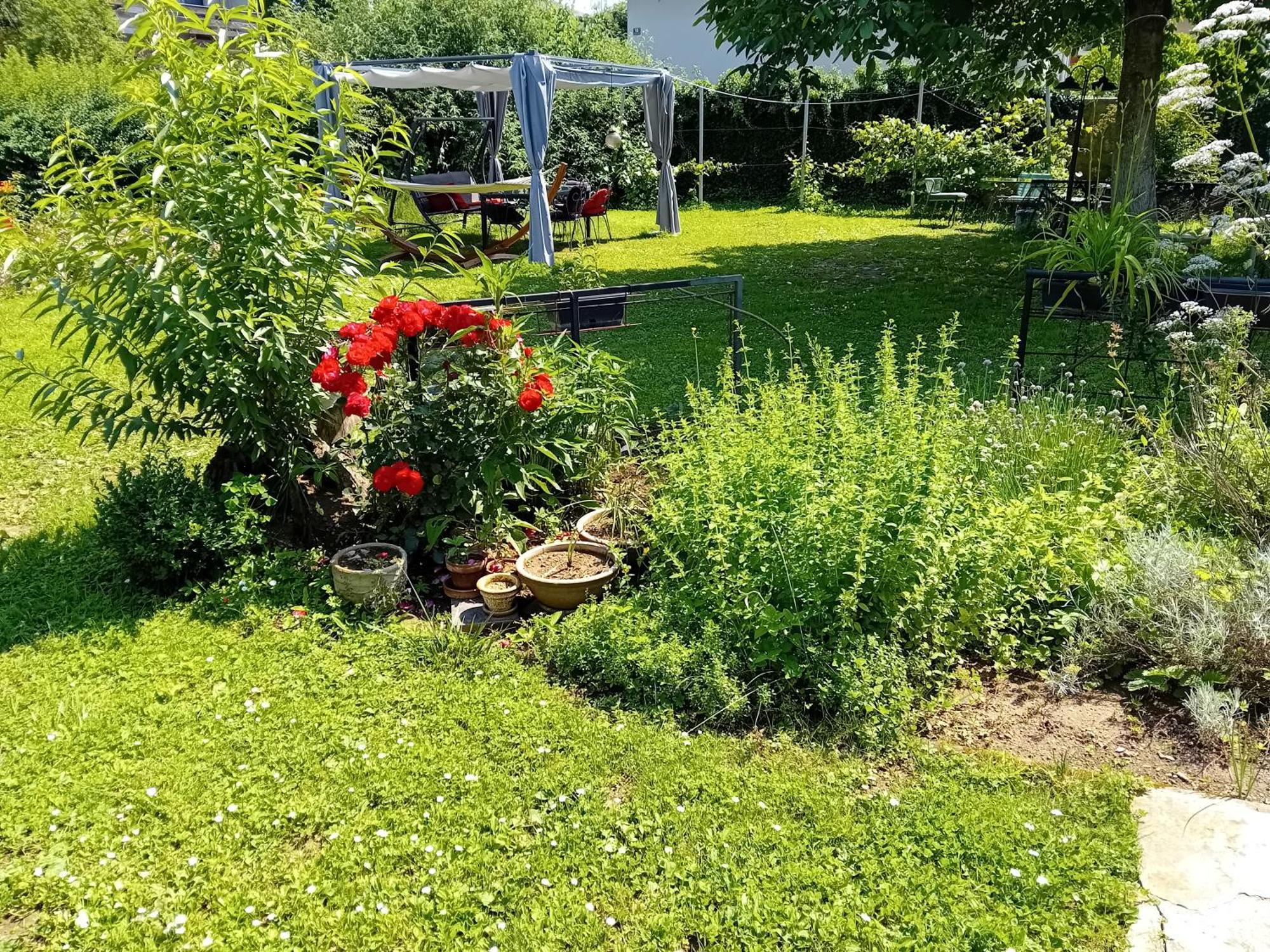 Camping Under The Walnut In Your Own Tent On A Shared Lot And Shared Bathroom Ljubljana Exterior photo